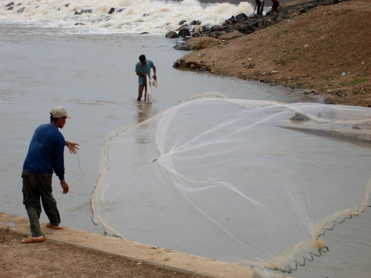 netting fish from the beach