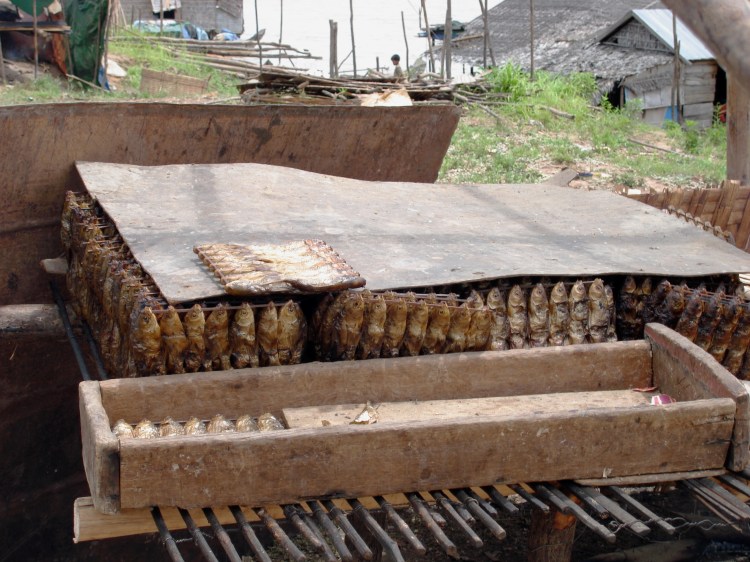 drying fish at tonle sap village